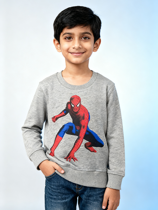 Boys long sleeve sweat shirt - Grey